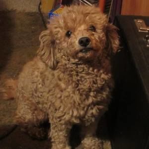 Meet your Posher, Cathy